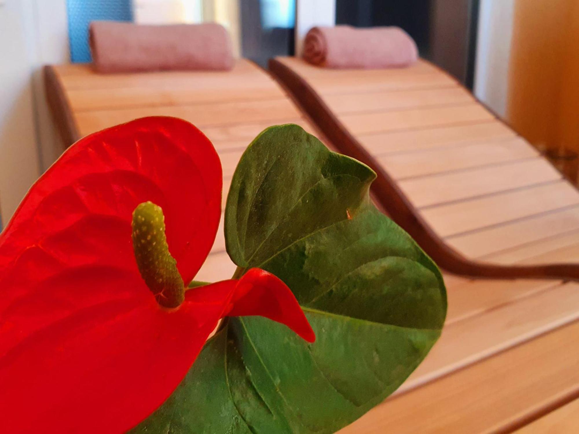 Family Hotel داوُجافبيلسْ المظهر الخارجي الصورة